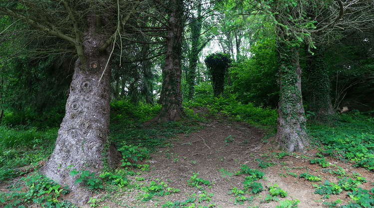 Galerie du chalêt Jardin de Marie au Col du Soulor, Pyrénées 3