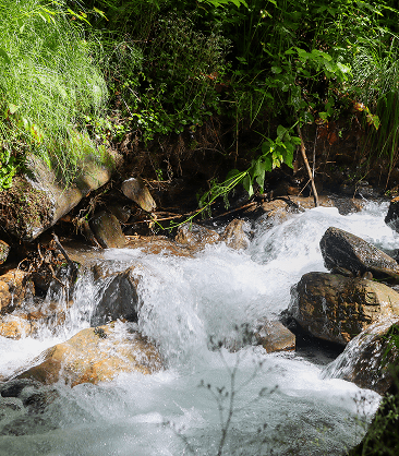 Galerie du chalêt Jardin de Marie au Col du Soulor, Pyrénées 10